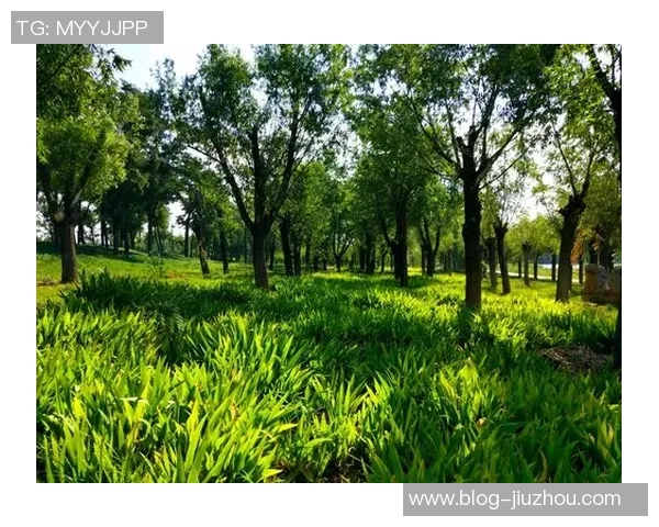 奥特古德温刻苦训练成效显著期待他未来更精彩的表现 奥特古德温刻苦训练成效显著期待他未来更精彩的表现