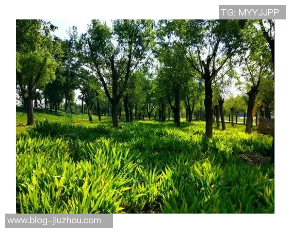 奥特古德温刻苦训练成效显著期待他未来更精彩的表现 奥特古德温刻苦训练成效显著期待他未来更精彩的表现